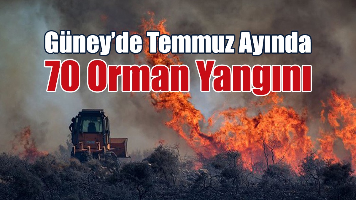Güney’de Temmuz Ayında 70 Orman Yangını