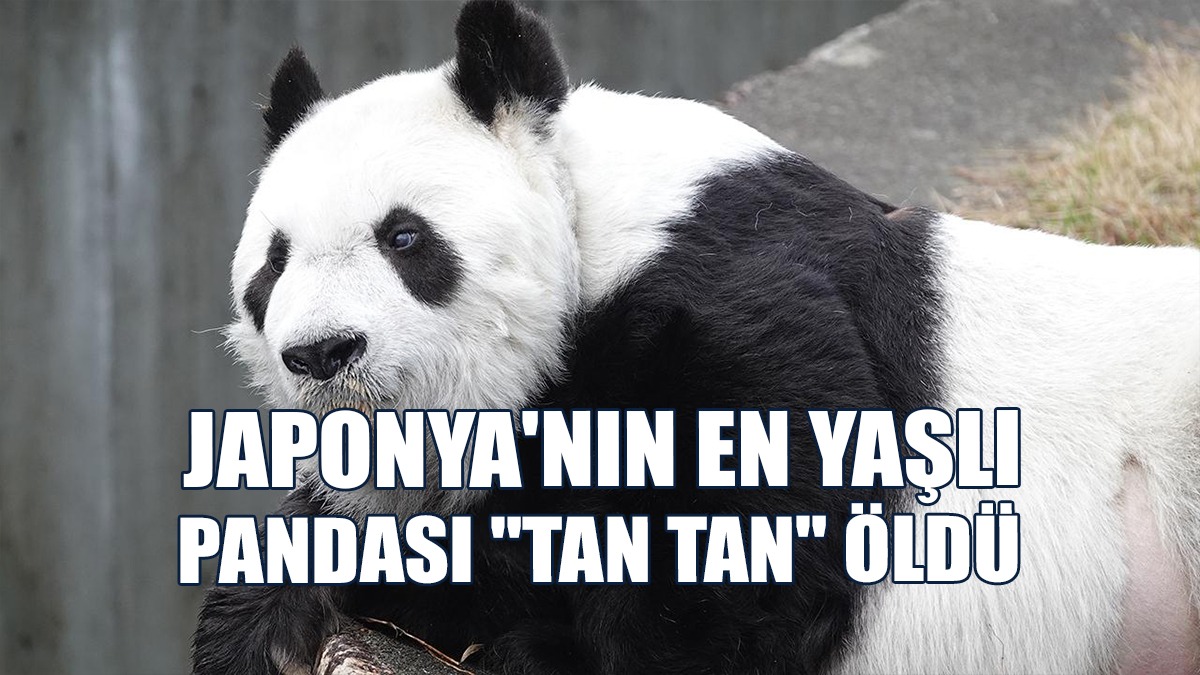 Tan Tan Kalp Hastasıydı