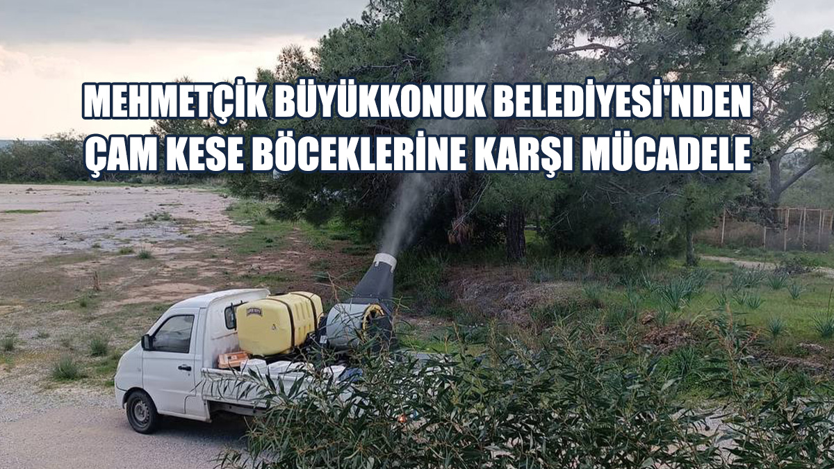 Çam Ağaçlarına Biyolojik Larvasit Uygulamaları Gerçekleştirildi