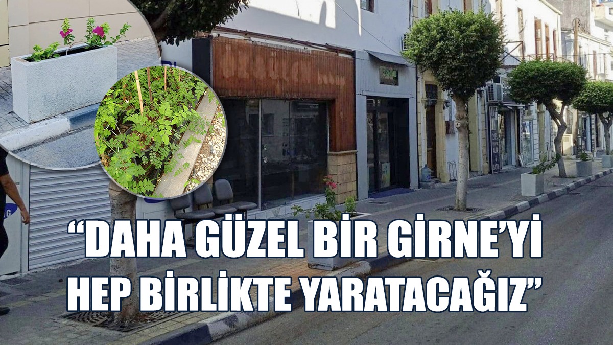 Şenkul: Canbulat Sokak Çiçek Açtı