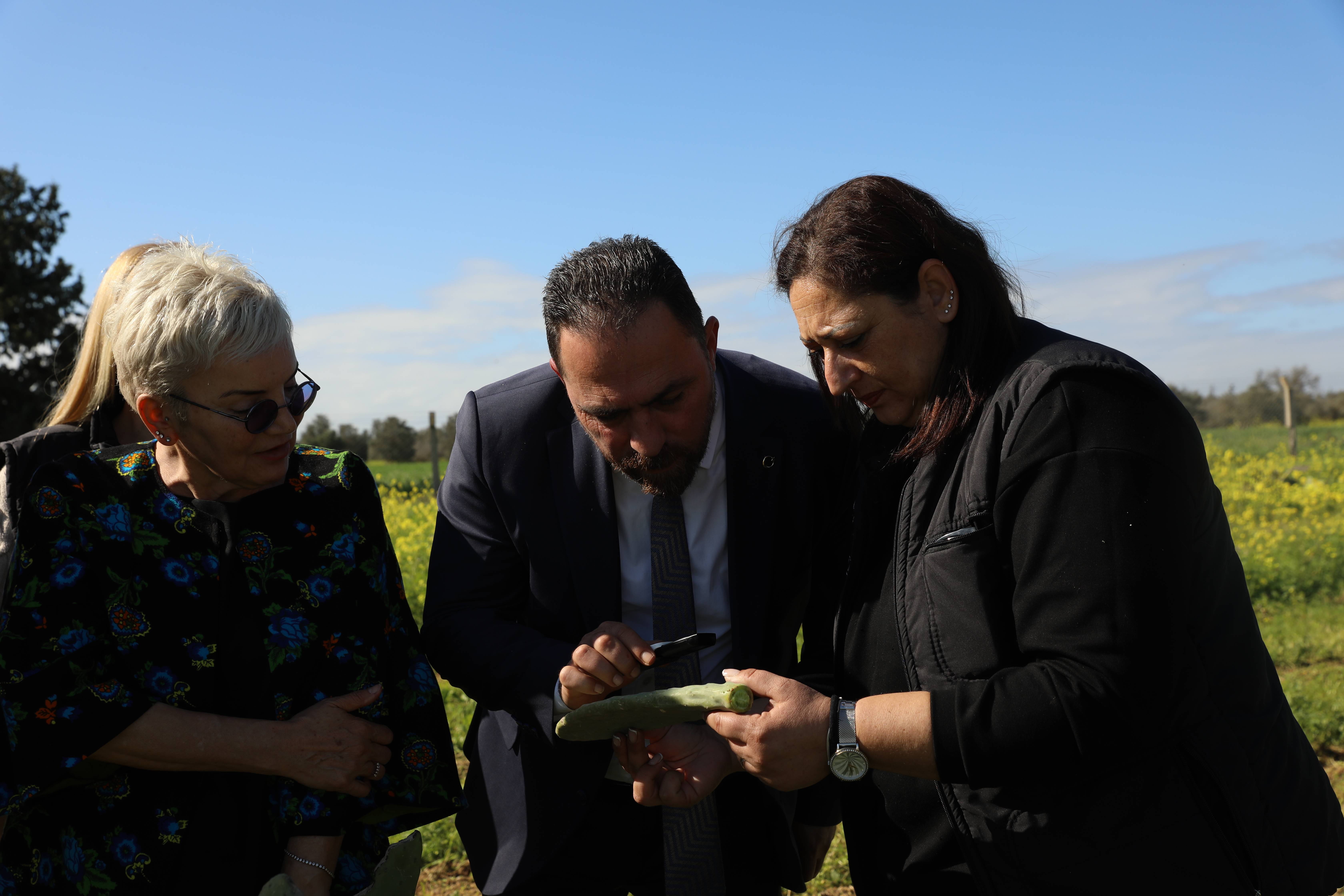 Çavuş: Babutsada görülen koşnille mücadelede umut verici gelişme kaydedildi