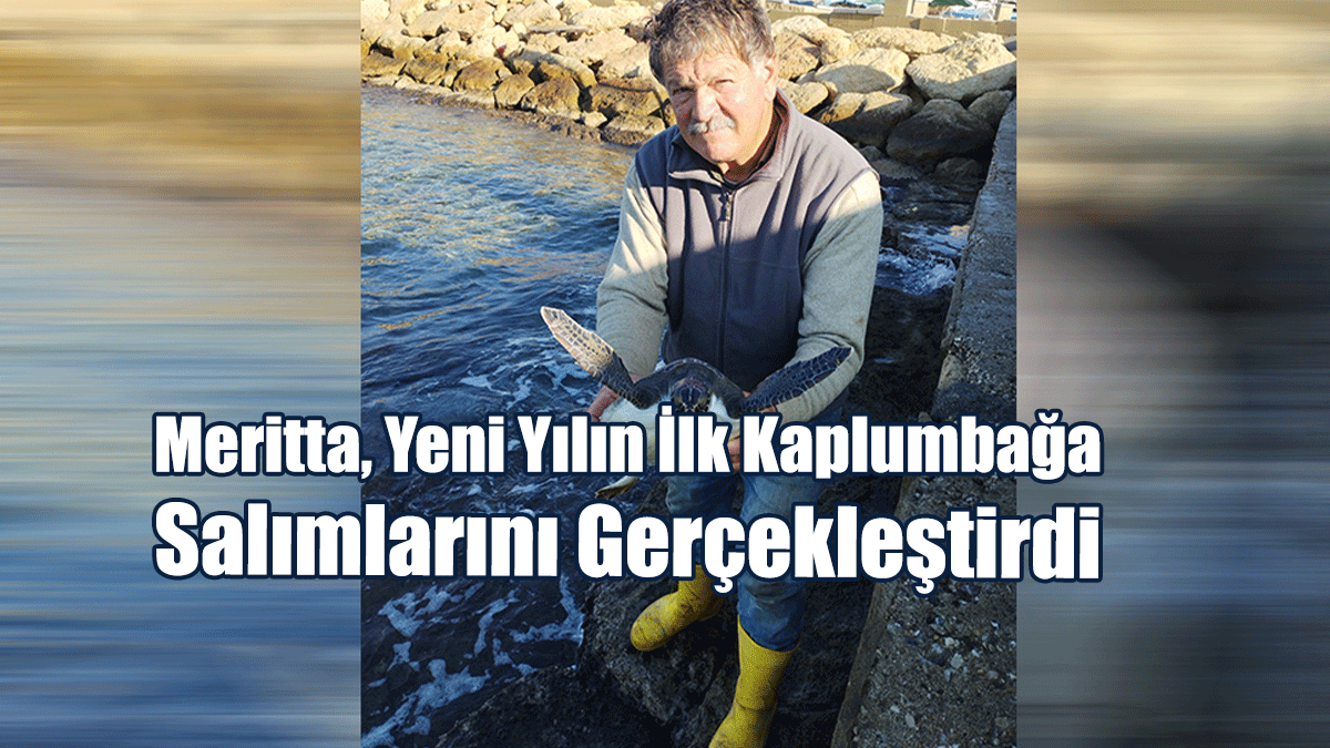 Meritta, Yeni Yılın İlk Kaplumbağa Salımlarını Gerçekleştirdi