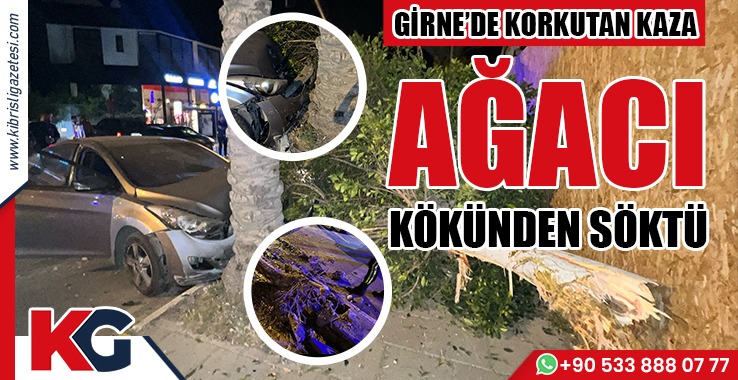 Girne’de Korkutan Kaza! Ağacı Kökünden Söktü