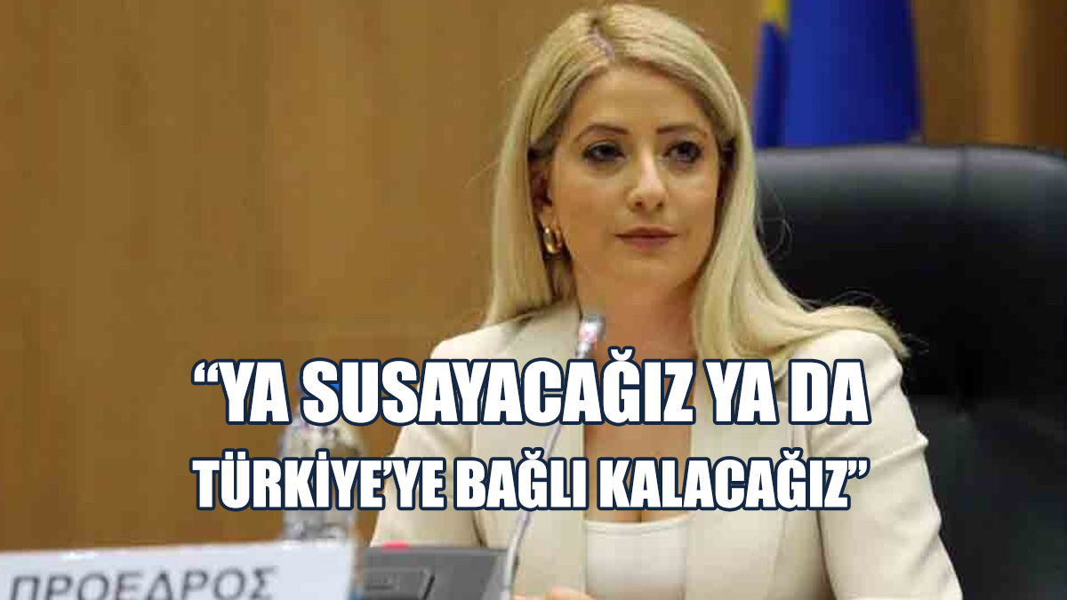 DİSİ Başkanı Dimitriu Susuzluk Konusunda Uyardı