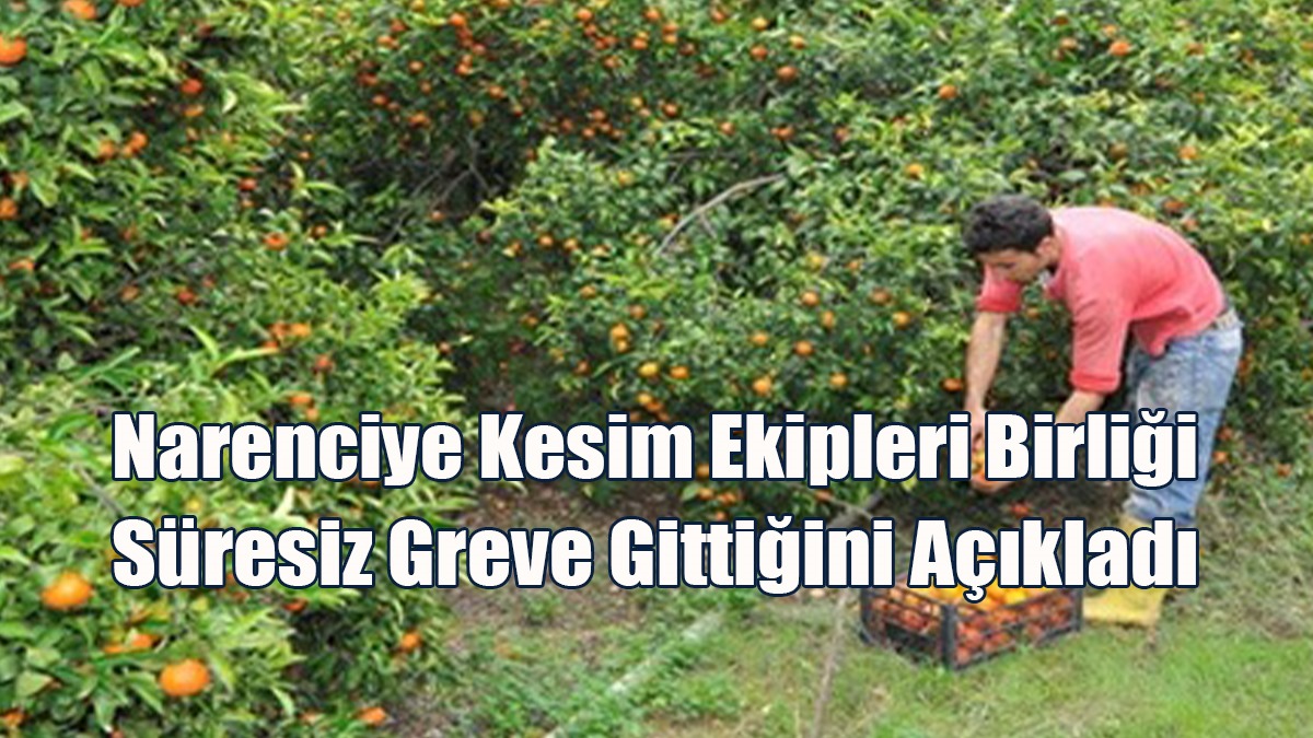 Narenciye Kesim Ekipleri Birliği Süresiz Greve Gittiğini Açıkladı