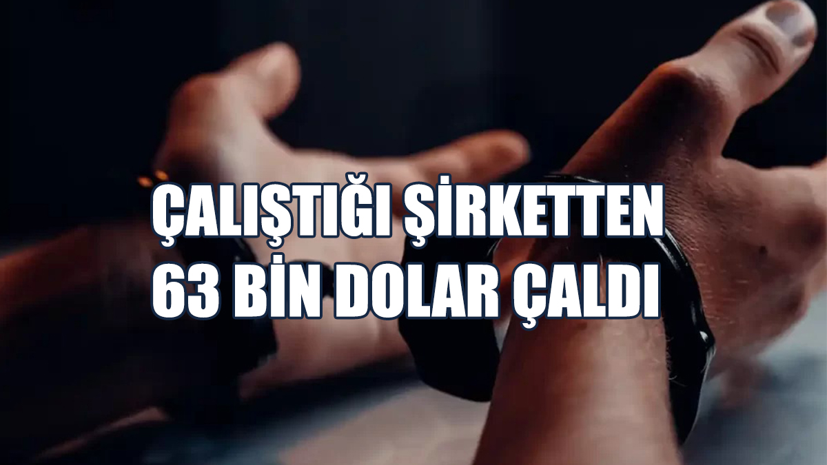 Çalıştığı Şirketten 63 Bin Dolar Çaldı