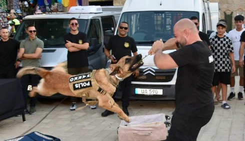 "Süper burunlar" görevde: Uyuşturucunun sessiz avcıları dedektör köpekler
