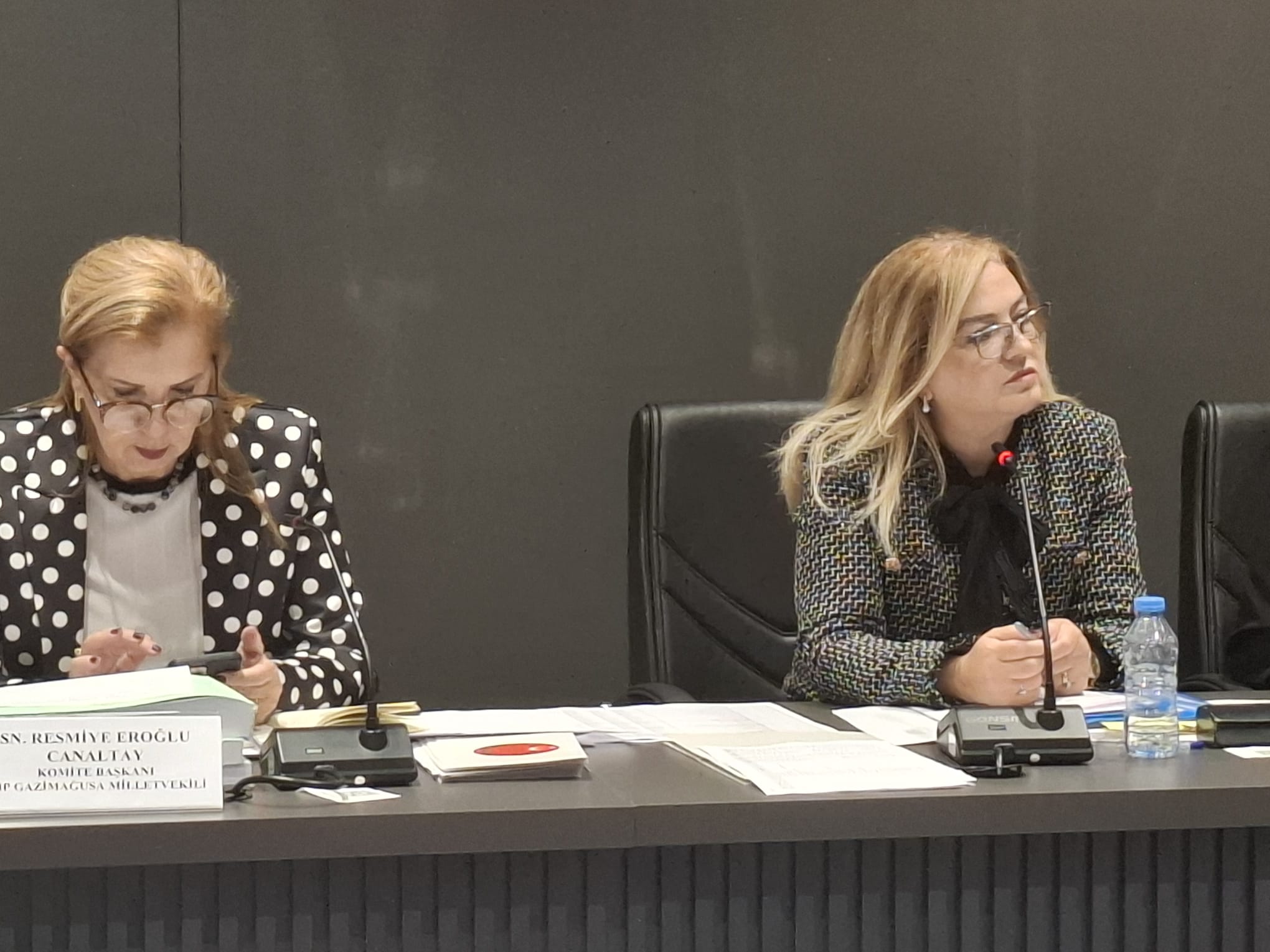 Ombudsman bütçesi oy birliğiyle kabul edildi