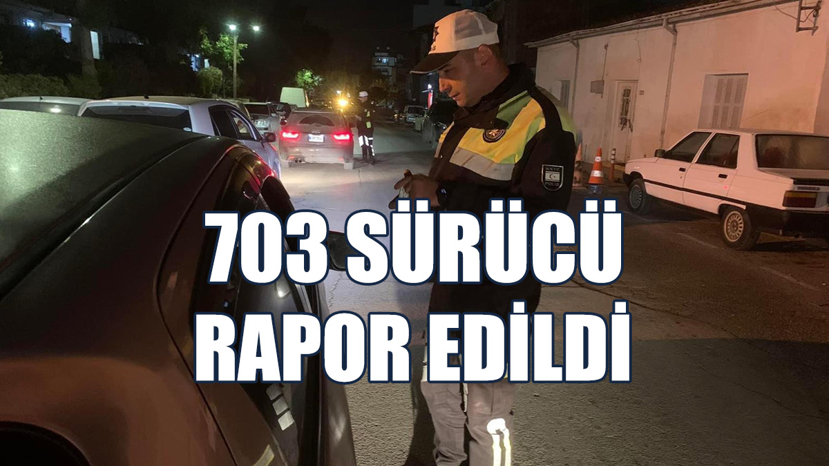 Ülke Genelinde Asayiş Ve Trafik Denetimi Gerçekleştirildi