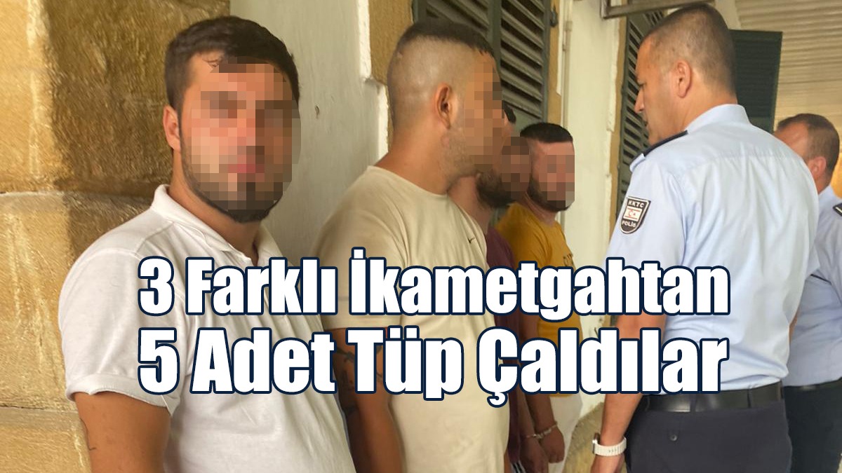 4 zanlı tutuklanarak mahkemeye çıkarıldı