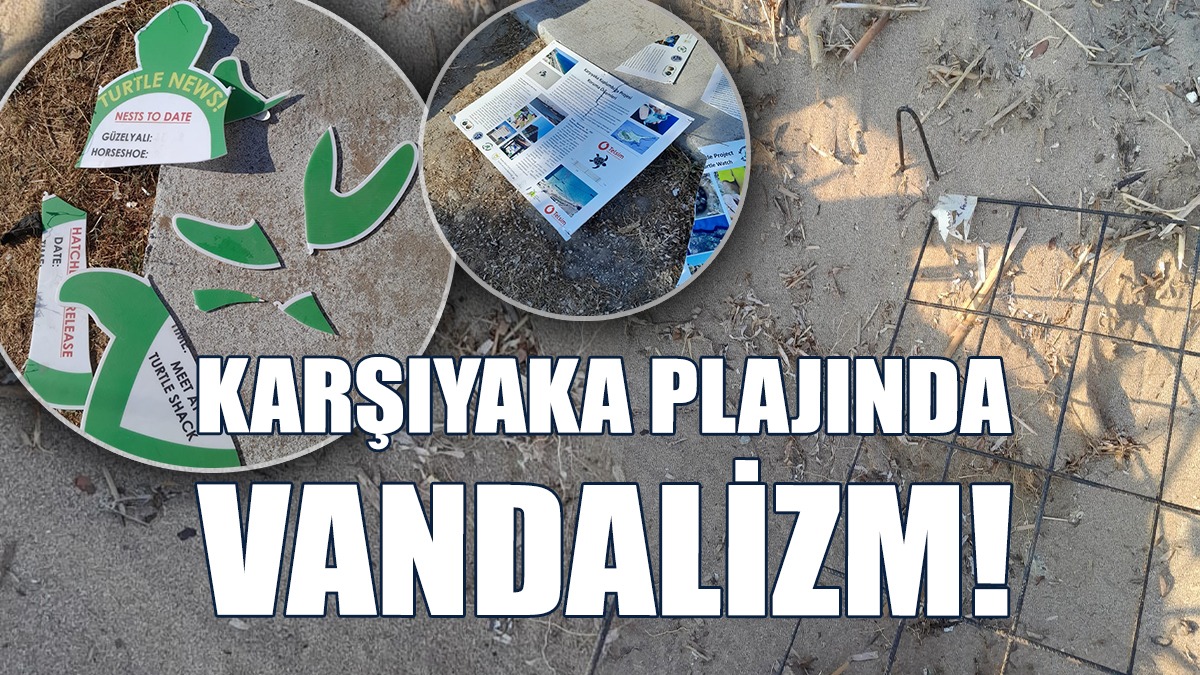 Basat: Karşıyaka Plajından İki Ayaklı Hayvan Sürüsü Geçti…