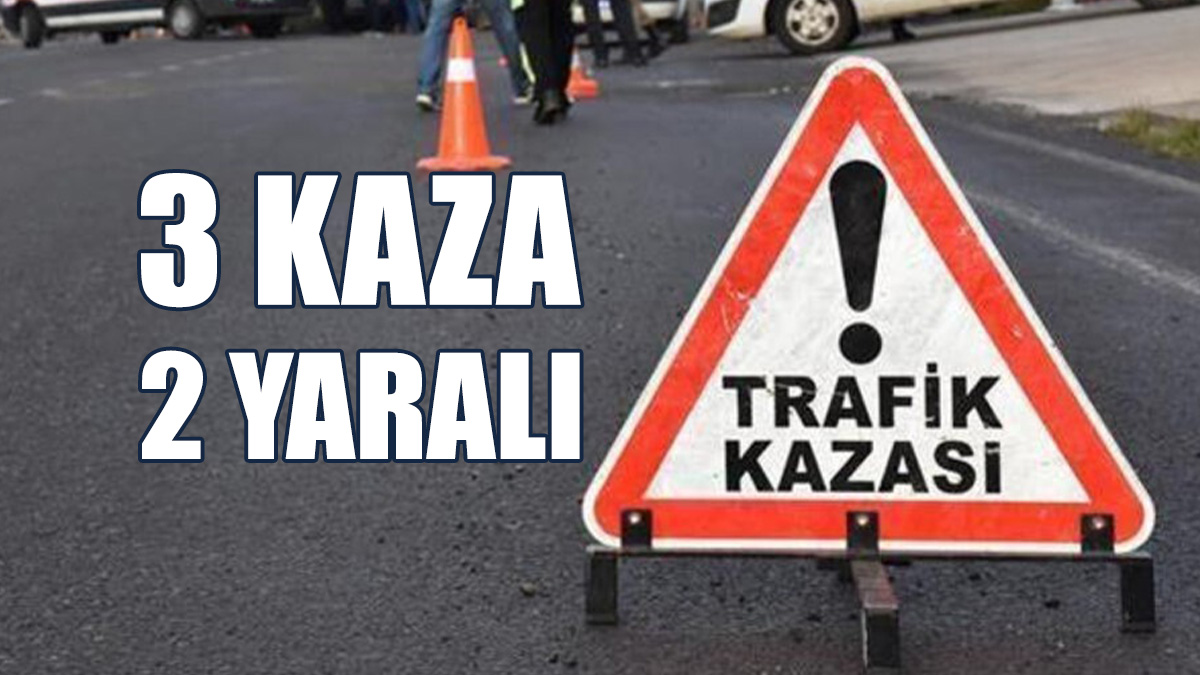 Alkollü Sürücüler Tutuklandı