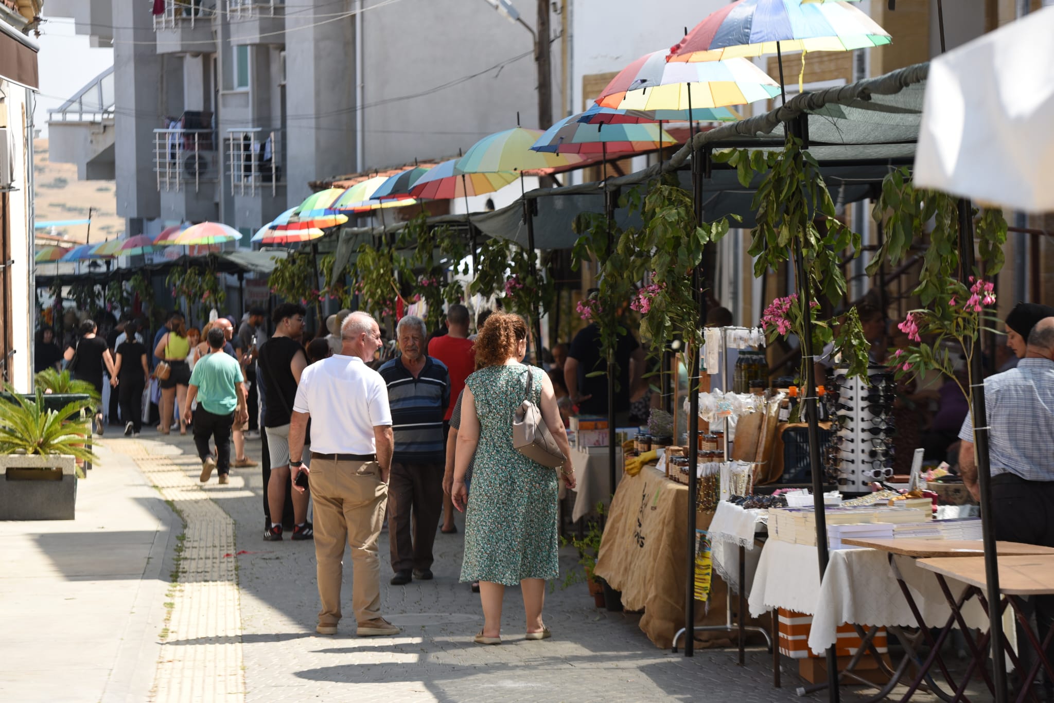 15. Lefke Ceviz Festivali bugün yapılıyor
