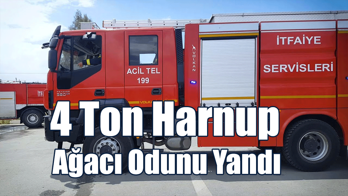 4 Ton Harnup Ağacı Odunu Yandı