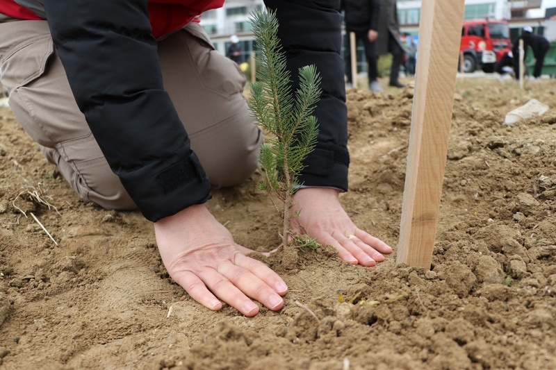 Orman Mühendisleri Odası ağaçlandırmanın artırılması çağrısı yaptı