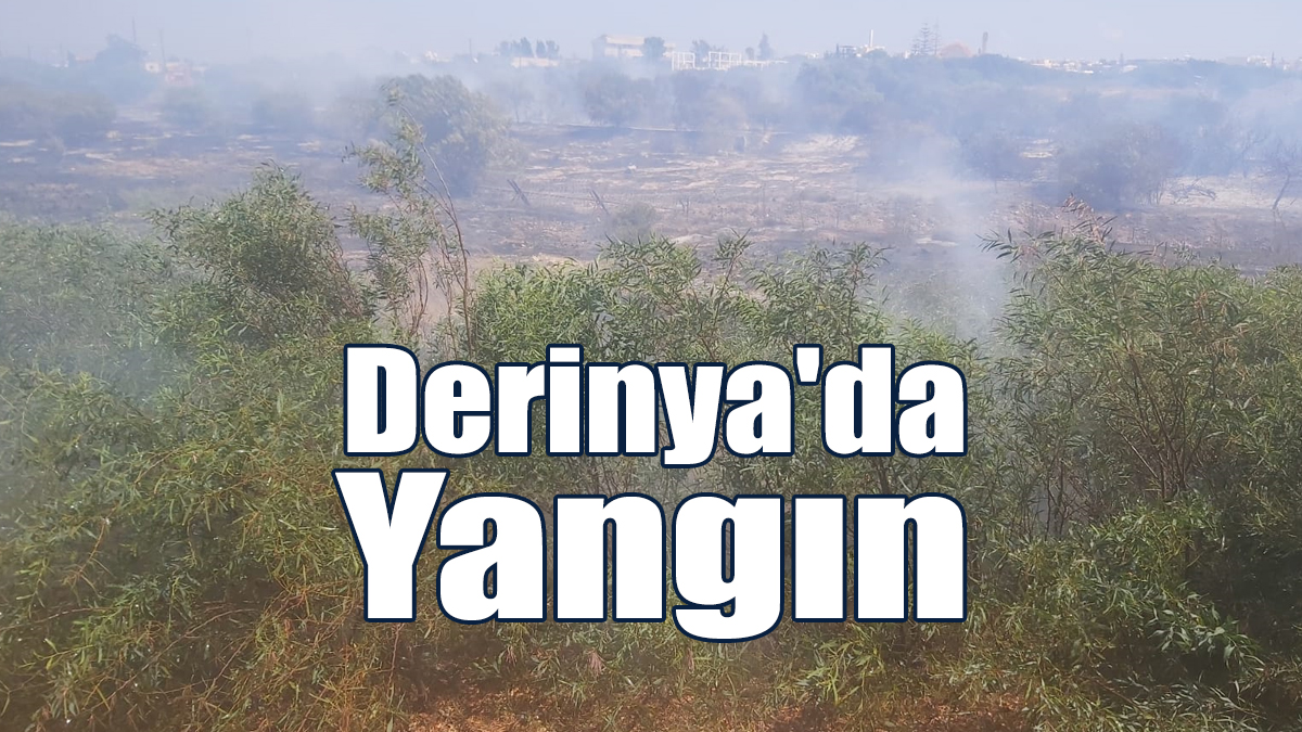 Derinya'da Yangın