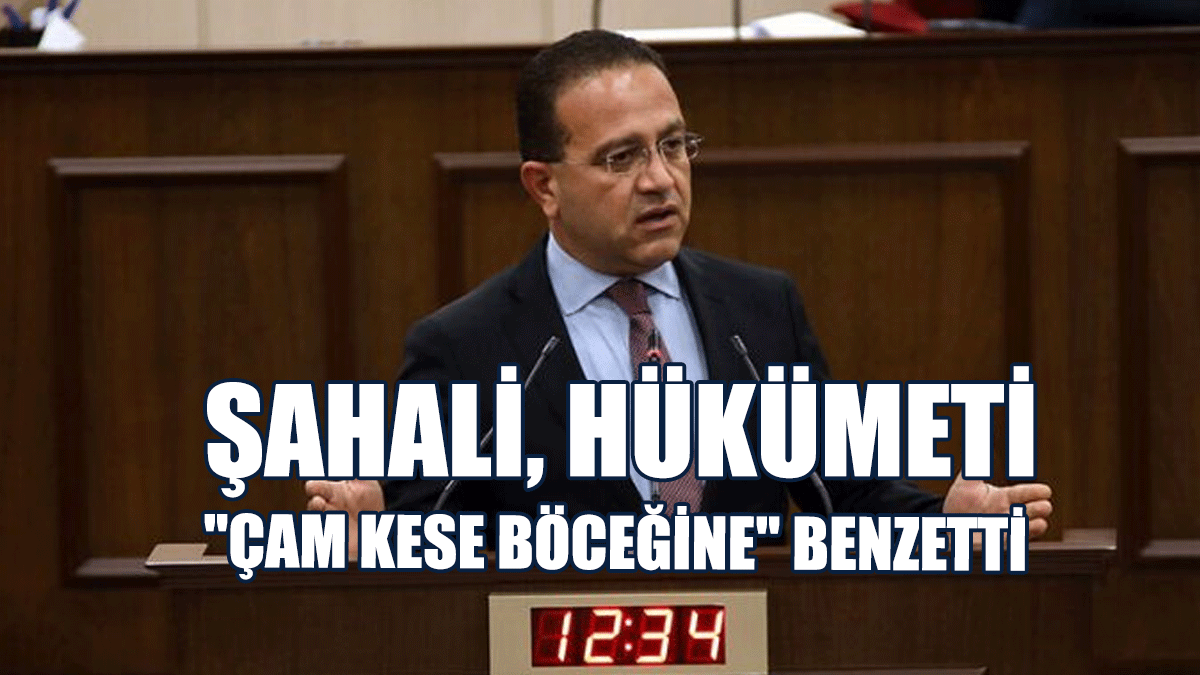 CTP Milletvekili Şahali, Hükümeti "Çam Kese Böceğine" Benzetti