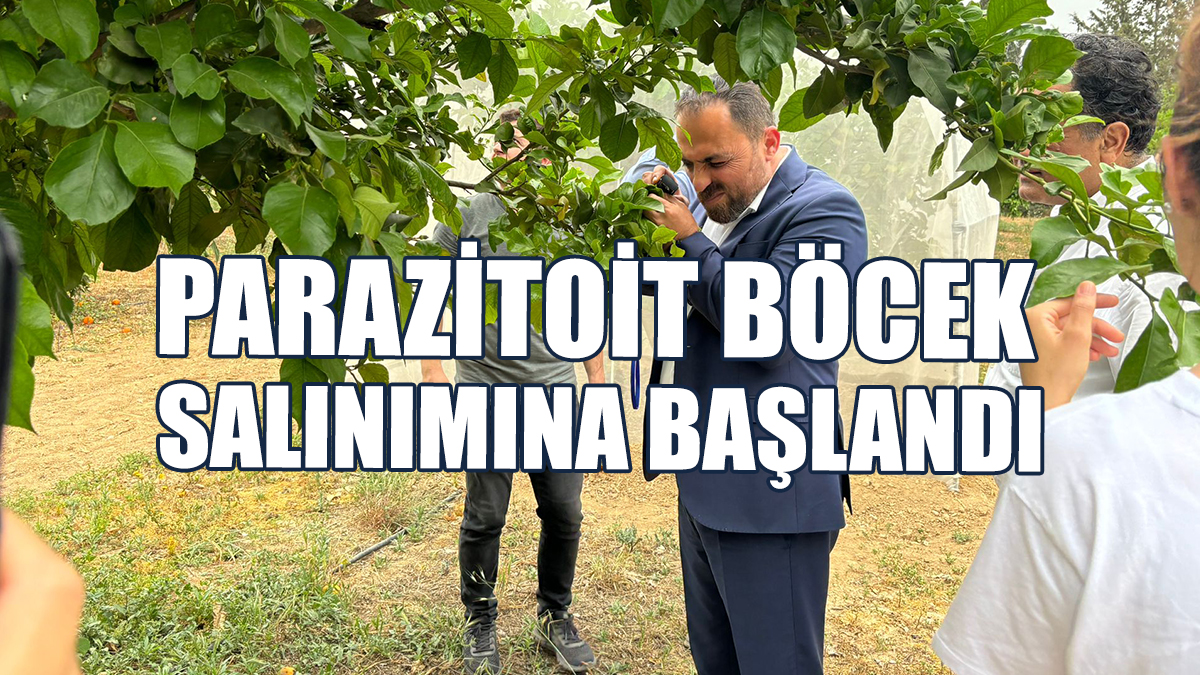 Biyolojik Mücadele Amacı ile Parazitoit Böcek Salınımına Başlandı