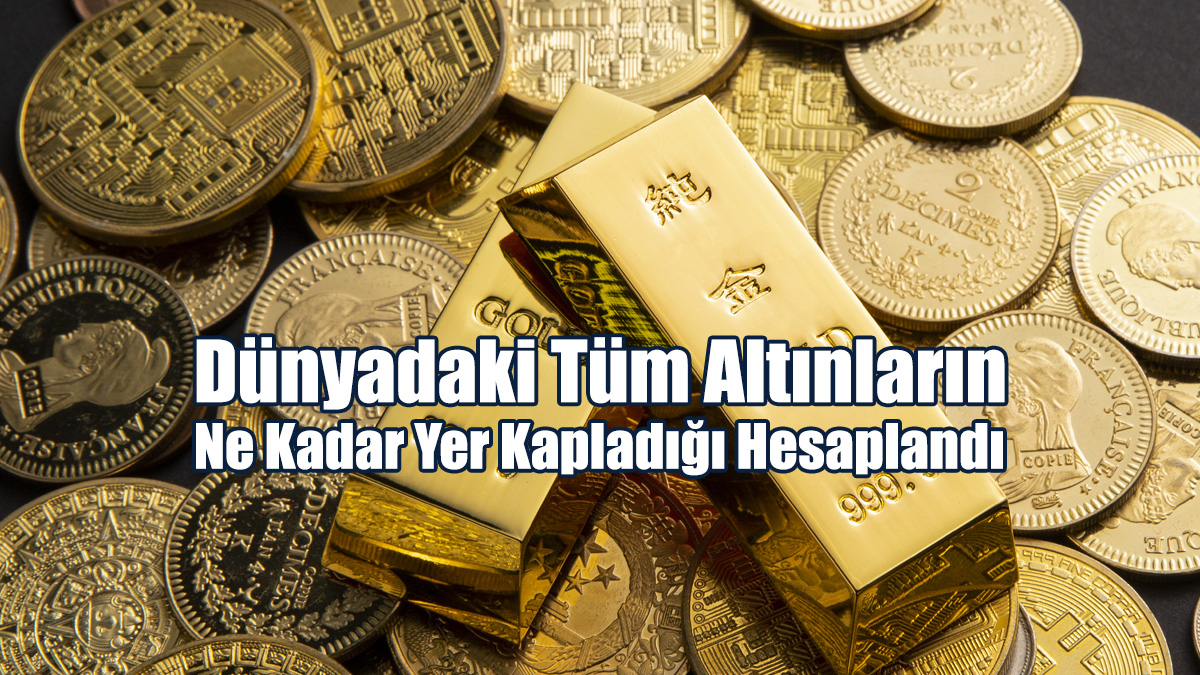 Dünyadaki Tüm Altınların Ne Kadar Yer Kapladığı Hesaplandı