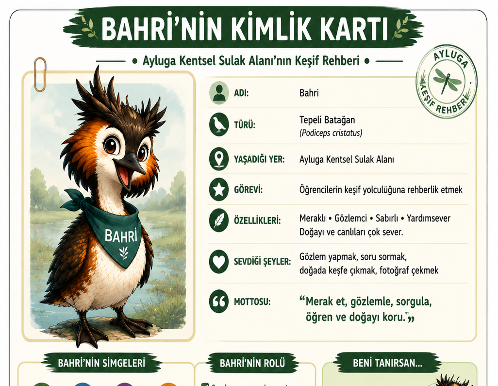 Ayluga Sulak Alanı için öğretmenlere özel eğitim