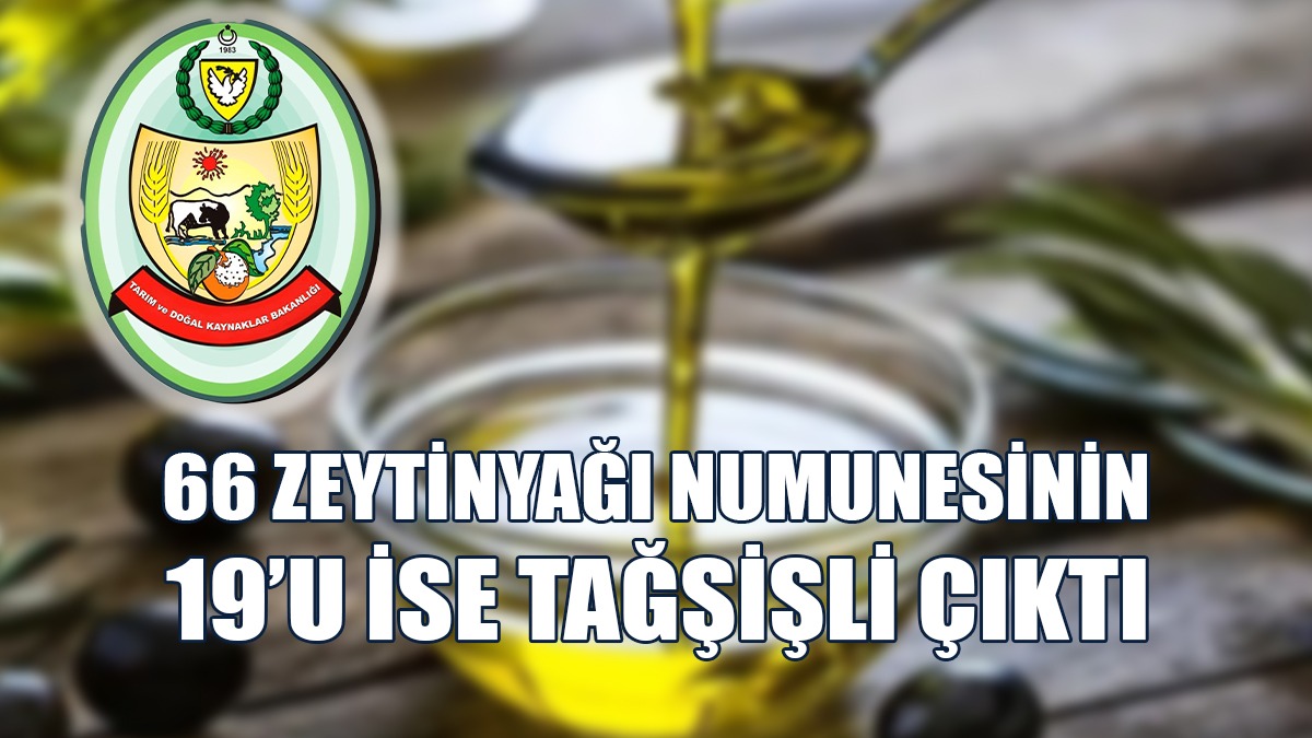 66 Zeytinyağı Numunesinin 47’si Tağşişsiz, 19’u İse Tağşişli Çıktı