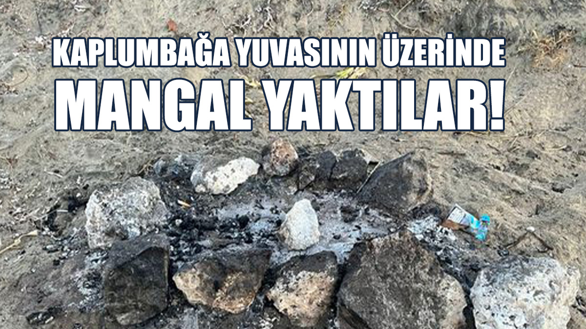 Tüm Yavrular Hayatını Kaybetti!