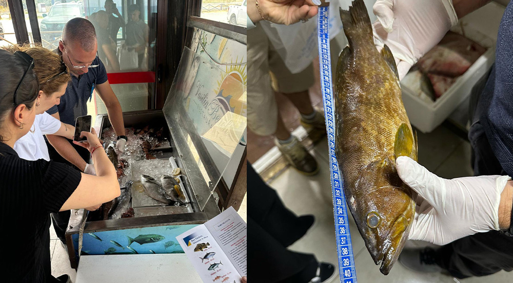 Restoranlara denetim… Tarım Bakanlığı bazı deniz ürünlerine el koydu