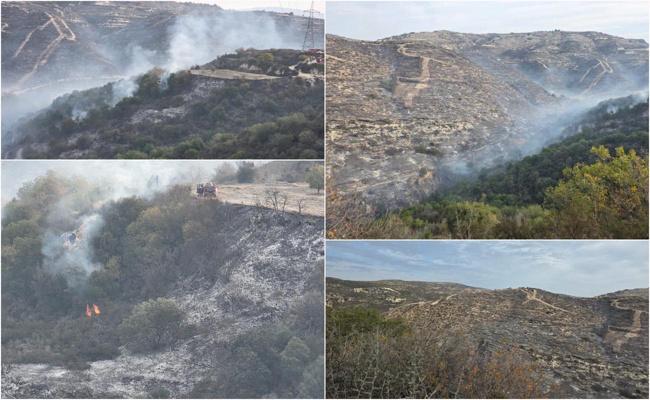 Güney'de üç cepheli yangın yaklaşık bir kilometrekarelik alanda etkili oldu