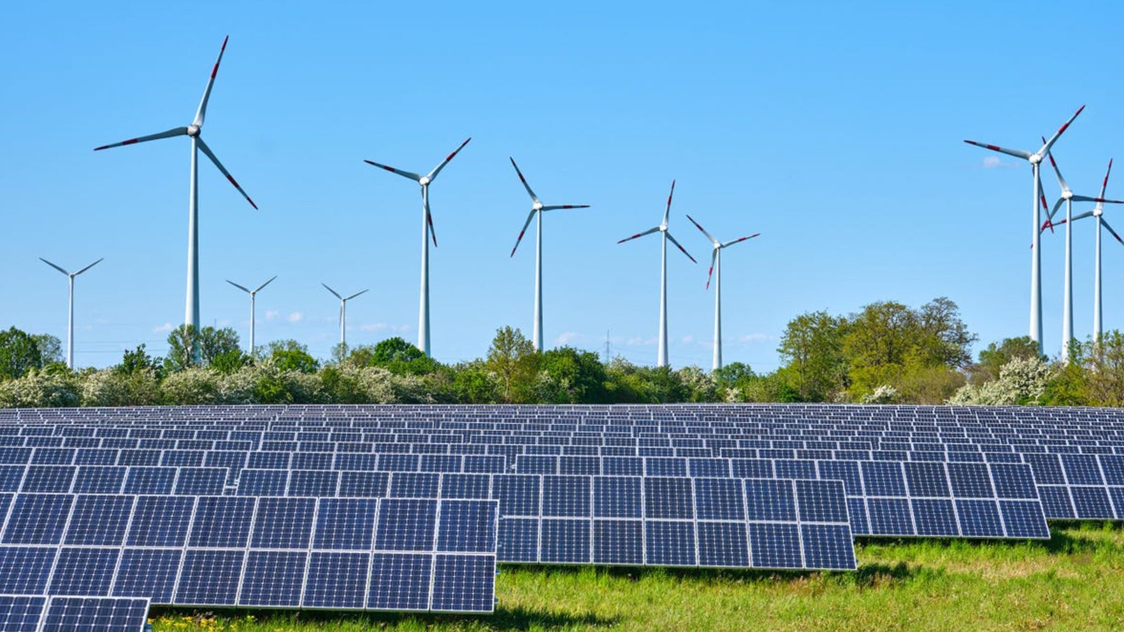ABD yönetimi,  temiz enerji projelerini sonlandırdı