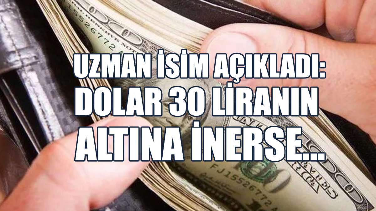 Uzman İsim Açıkladı: Dolar 30 Liranın Altına İnerse...