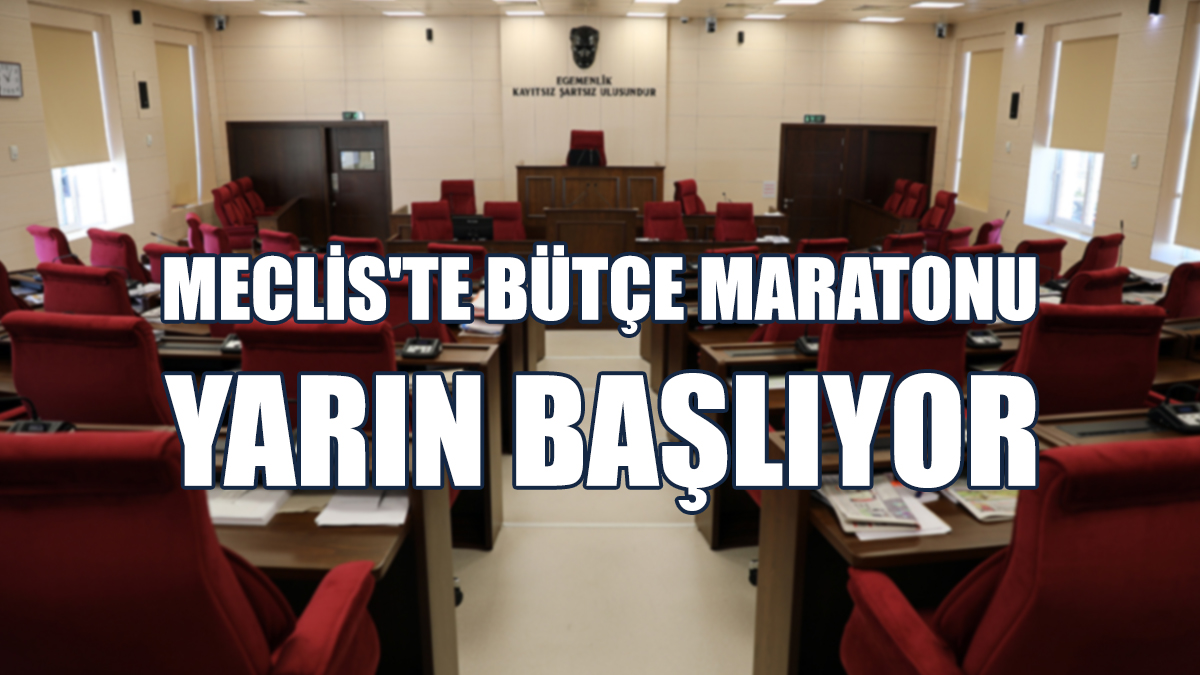 Gündemde Cumhurbaşkanlığı ve Cumhuriyet Meclisi Bütçeleri Var