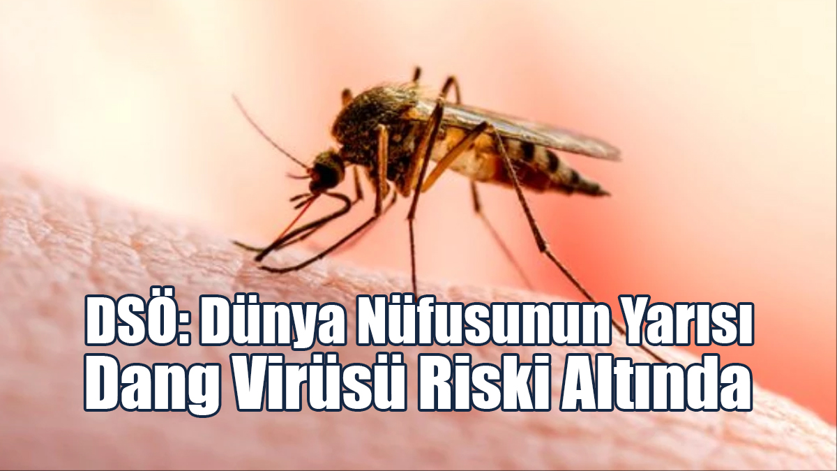 DSÖ: Dünya Nüfusunun Yarısı Dang Virüsü Riski Altında