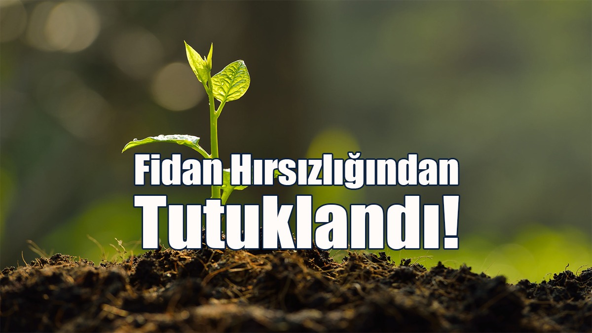 Fidan Hırsızlığından Tutuklandı!
