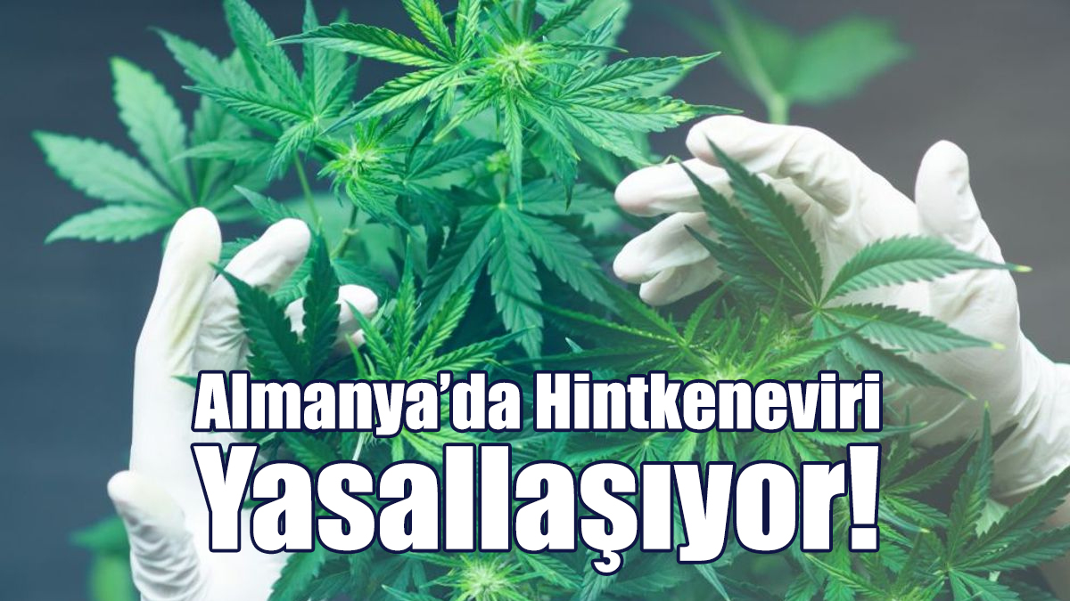 Almanya’da Hintkeneviri Yasallaşıyor!