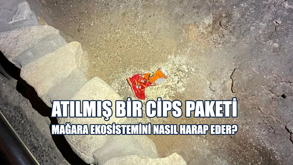 Atılmış Bir Cips Paketi, Mağara Ekosistemini Nasıl Harap Eder?