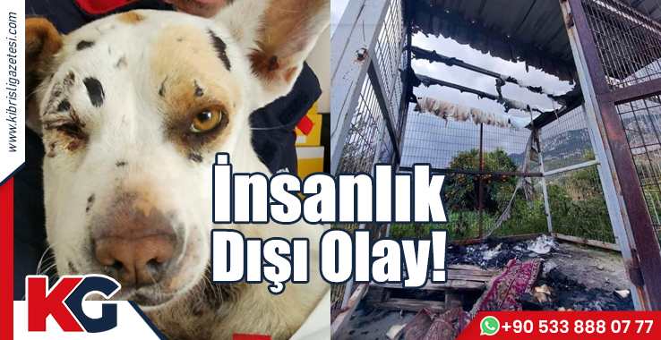 İnsanlık Dışı Olay!