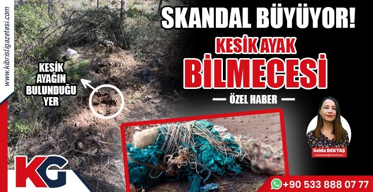 Ampute Edilmiş İnsan Uzvu Dağda Nasıl Bulundu?