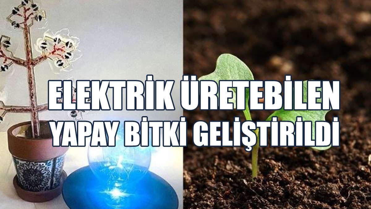 Elektrik Üretebilen Yapay Bitki Geliştirildi