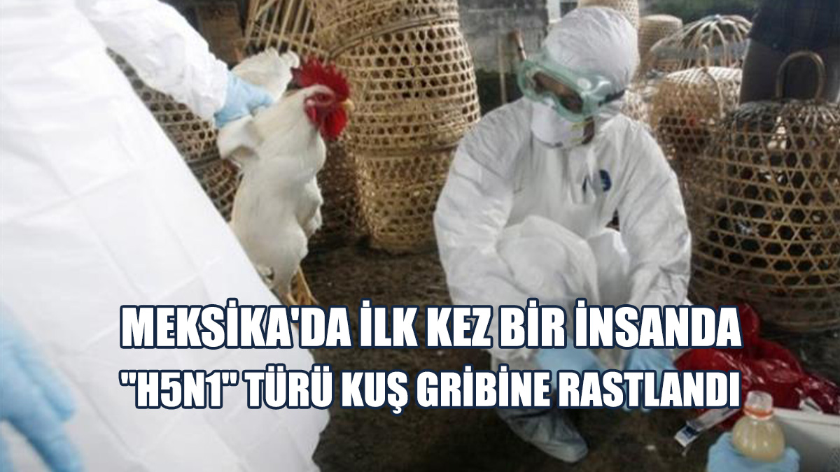 Meksika'da İlk Kez Bir İnsanda "H5N1" Türü Kuş Gribine Rastlandı