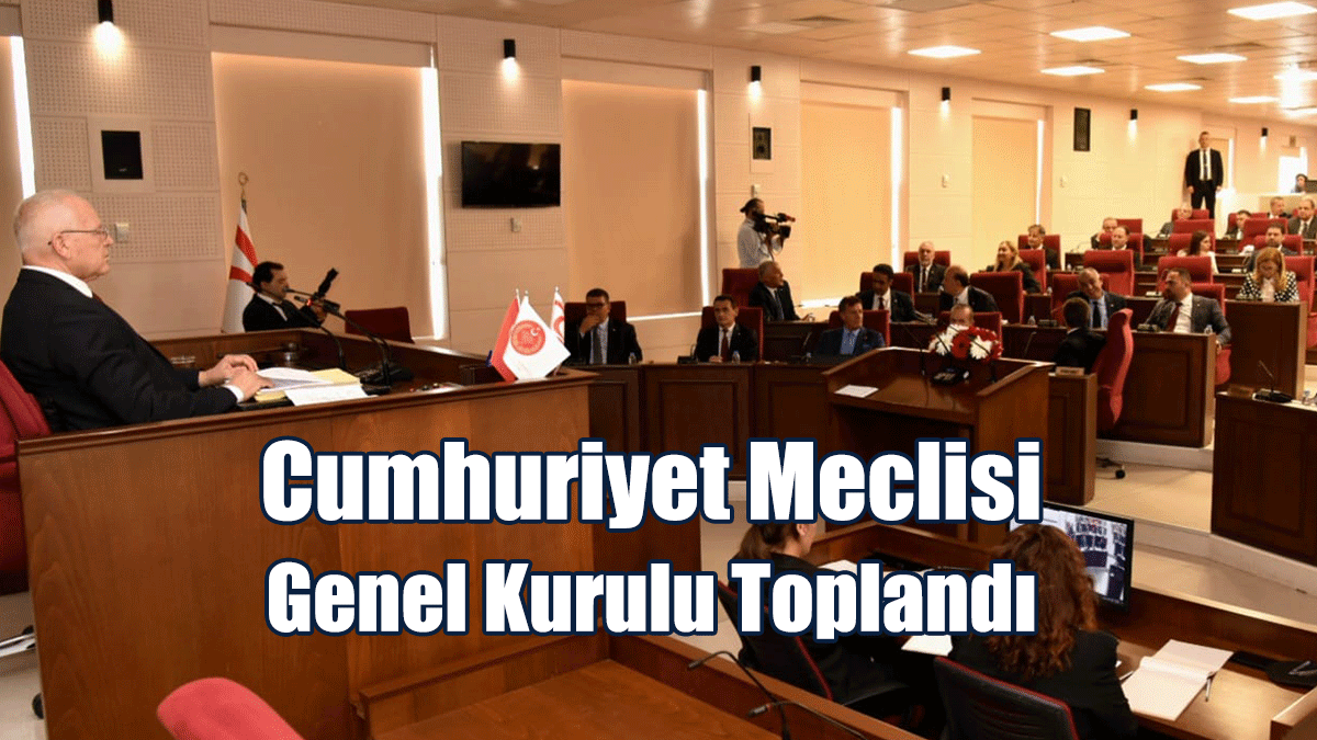 Cumhuriyet Meclisi Genel Kurulu Denetim İşleviyle Toplandı