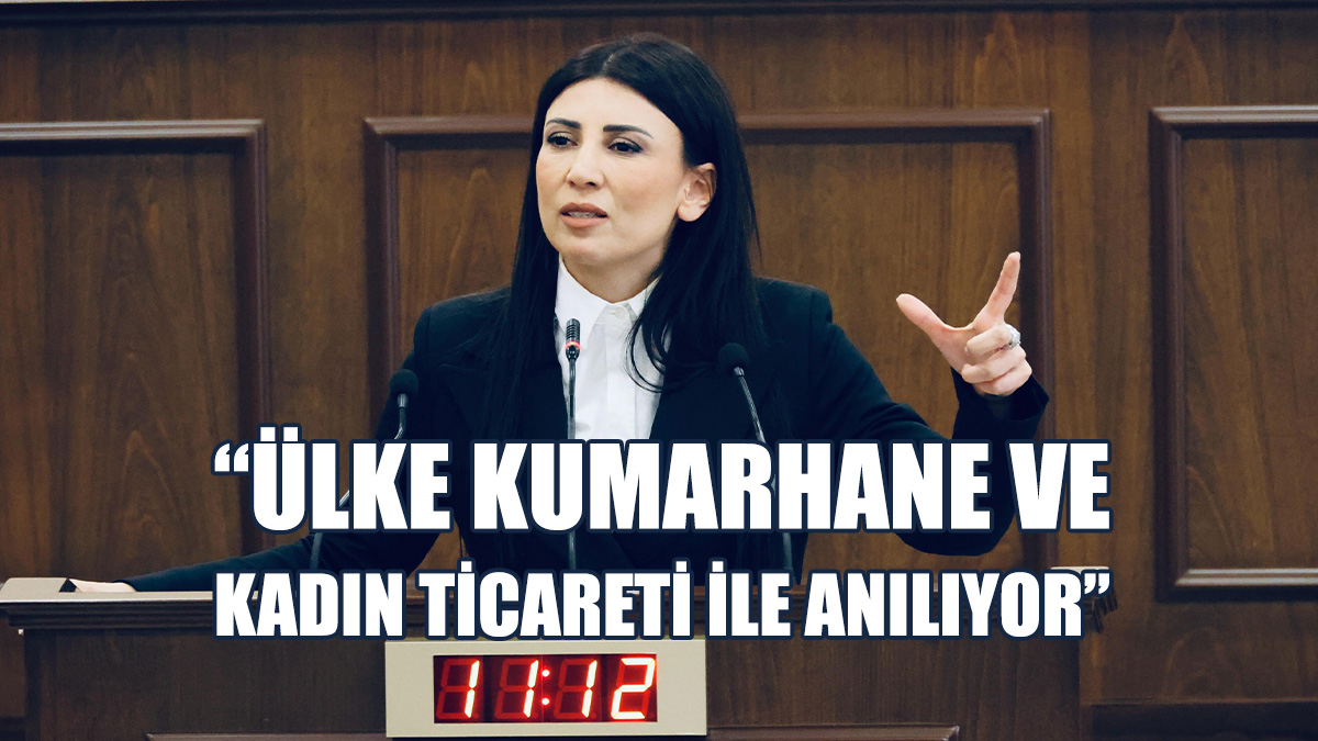 Özdenefe: Oluşturduğumuz Sistemi İki Yüzlü Buluyorum