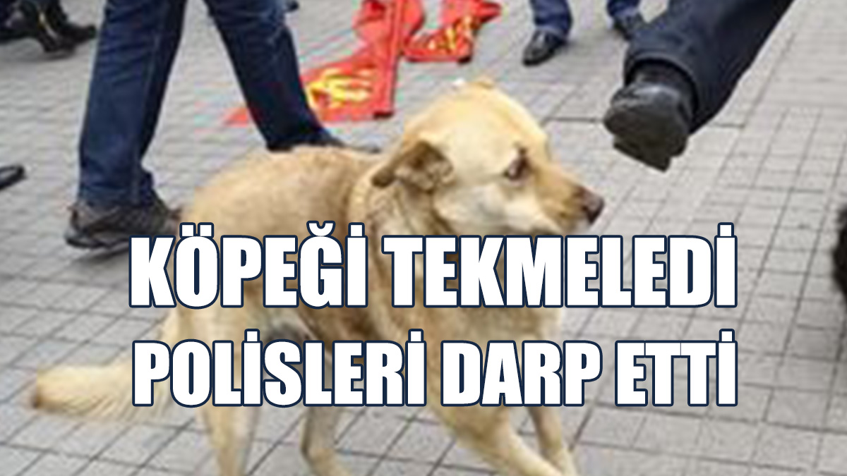 Motosiklet Sürücüsü Kendisine Ceza Kesildiği Sırada Köpeği Tekmeledi