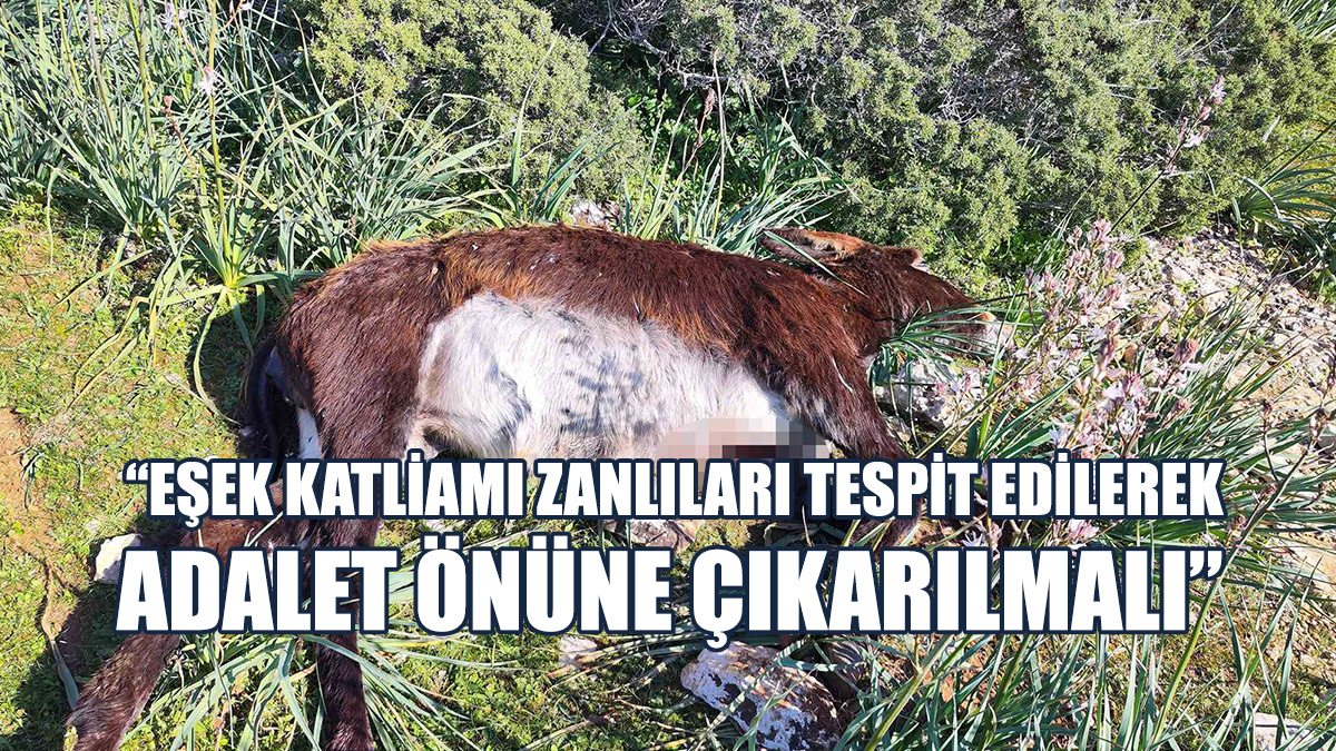 “Hayvanların Korunması İçin Eko Sistemin Korunması Gerekmektedir”