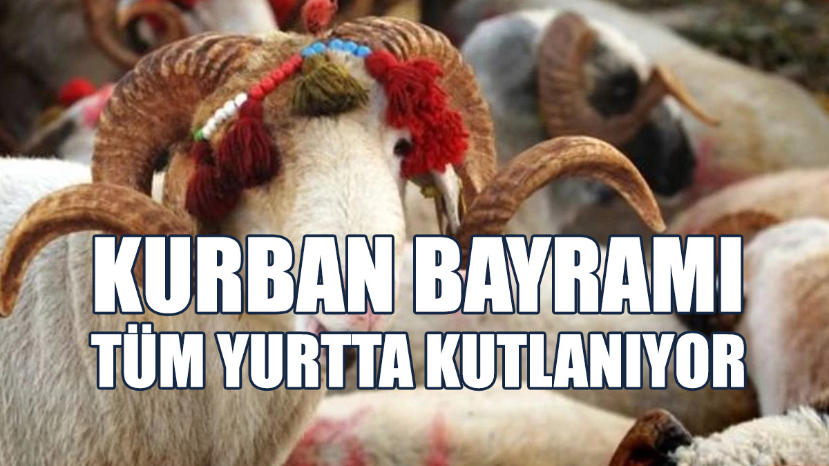 Kurban Bayramı Tüm Yurtta Kutlanıyor