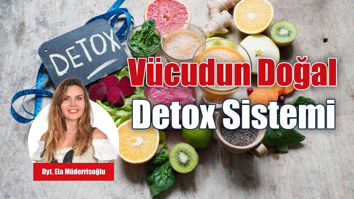 Vücudun Doğal Detox Sistemi