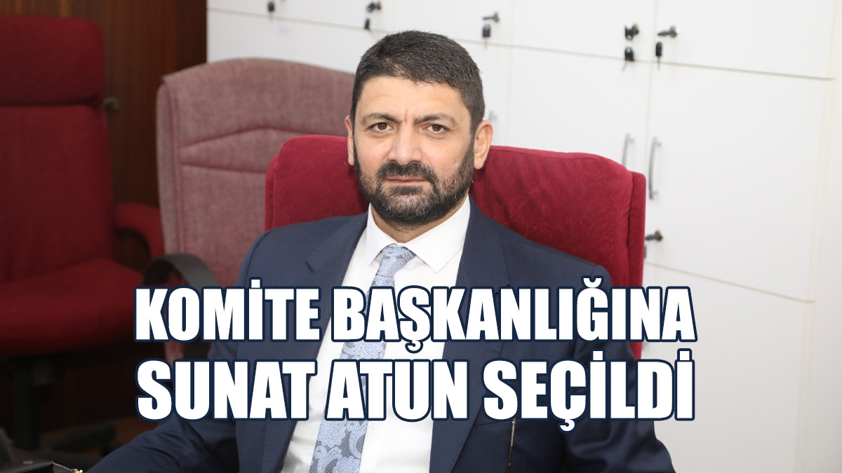 İdari, Kamu ve Sağlık İşleri Komitesi Başkanlığına Atun Seçildi
