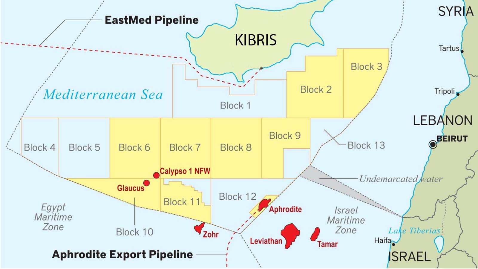 Eski Rum Sağlık Bakanı, hidrokarbon konusunda kitap yazdı