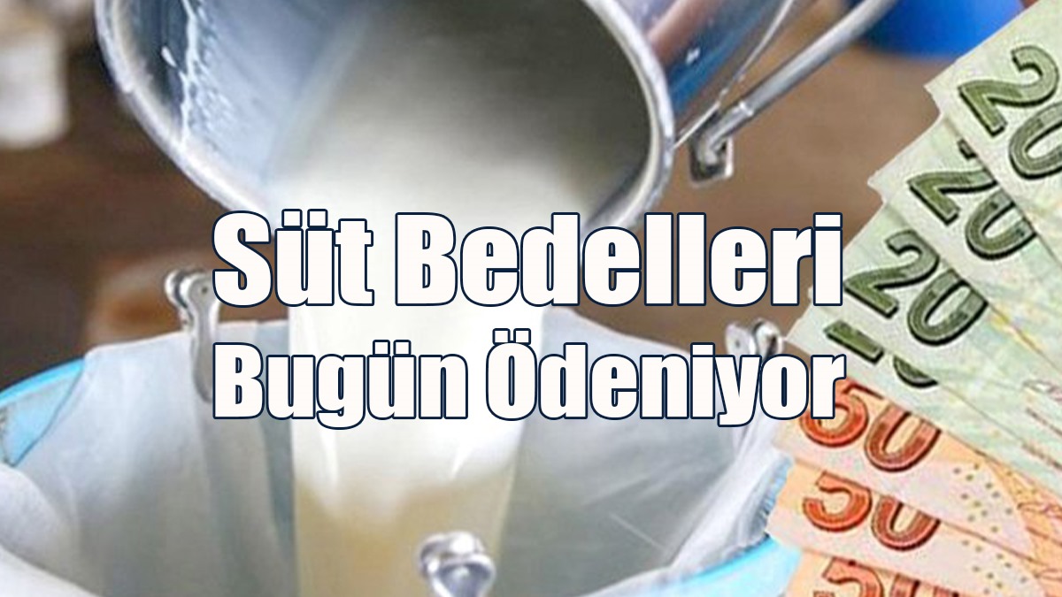 Süt Bedelleri Bugün Ödeniyor