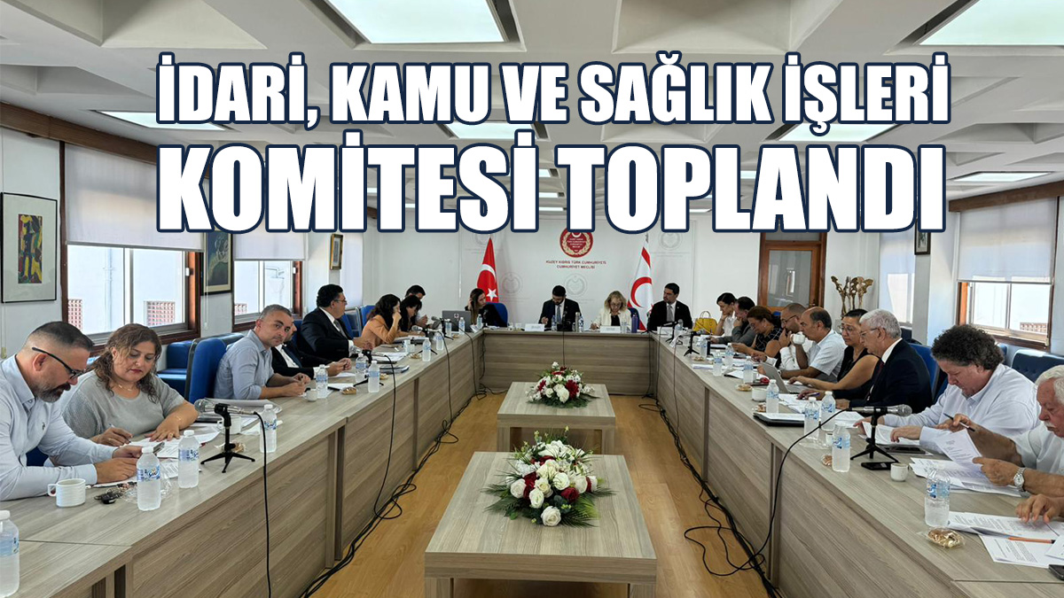 Cumhuriyet Meclisi İdari, Kamu Ve Sağlık İşleri Komitesi Toplandı