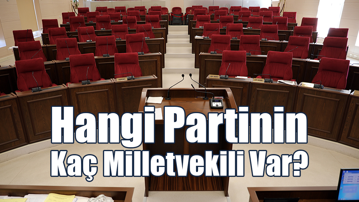 Hangi Partinin Kaç Milletvekili Var?